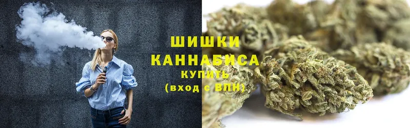 Бошки Шишки SATIVA & INDICA  что такое   гидра сайт  Енисейск 